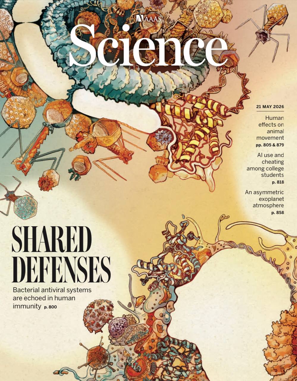 科学-21.05.2026