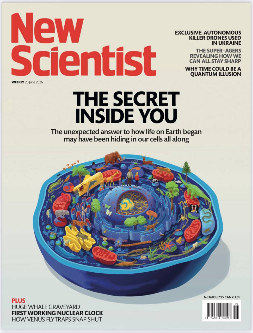 新科学家-20.06.2026
