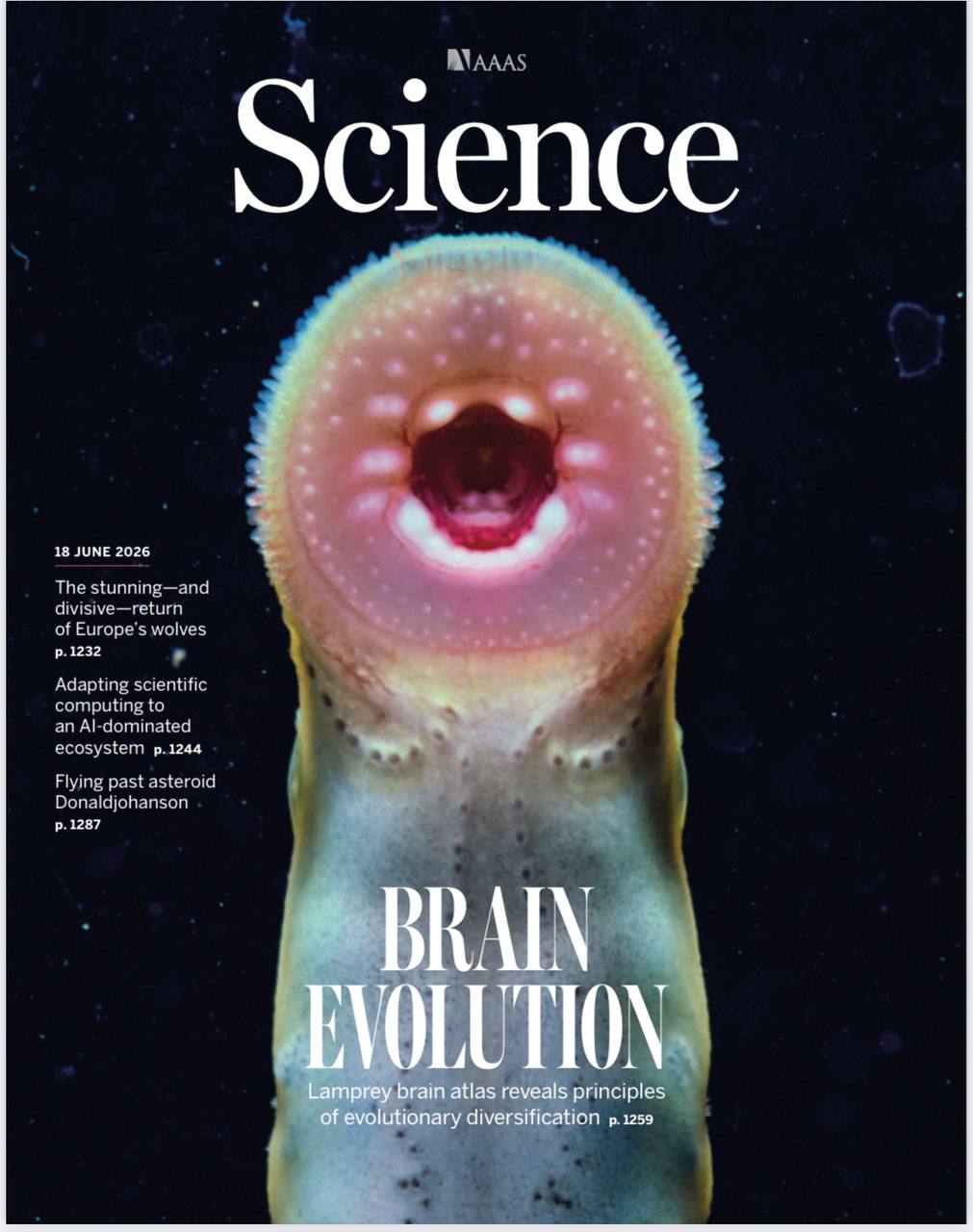 科学-18.06.2026