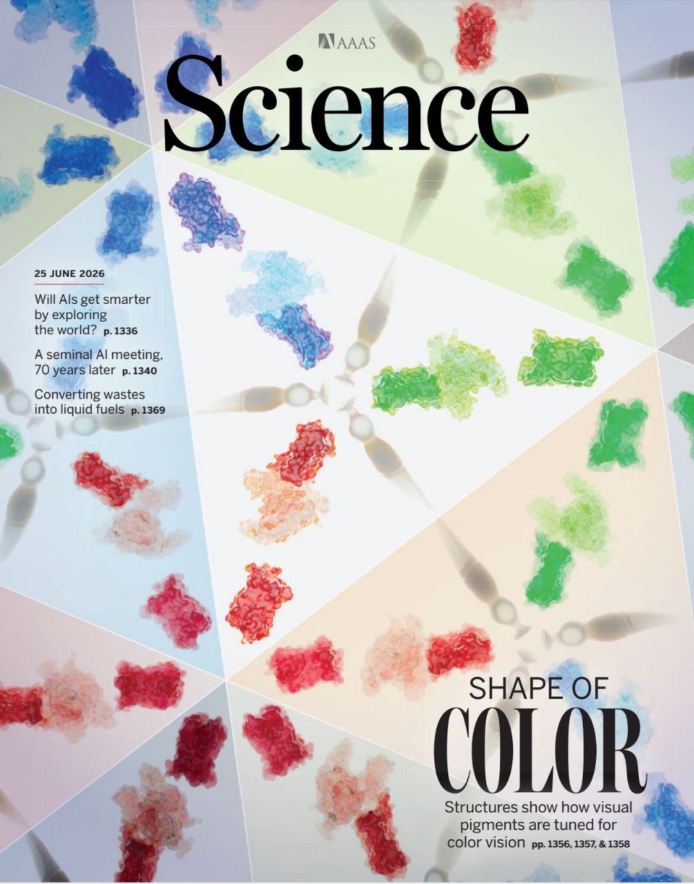科学-25.06.2026