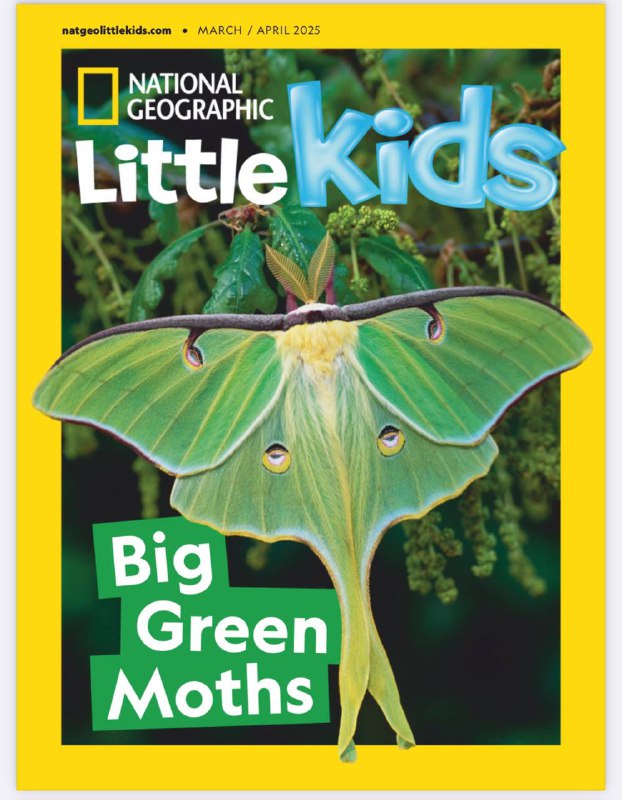 National Geographic Little Kids-03_04.2025⚠️雄性孔雀用长羽毛向雌性炫耀求偶；狮子鱼用侧鳍捕食，身上尖刺可蜇人；月形天蚕蛾夜间活动，在美国多地栖息，其幼虫是毛毛虫，会作茧化蛾；黑背胡狼幼崽在非洲玩耍、学习技能，胡狼属于犬科动物；海獭在海洋捕食蛤蜊等，用牙齿咬开外壳；雷巴齐斯龙生活在非洲，背上的脊可能帮助降温...📌Download               #国家地理儿童