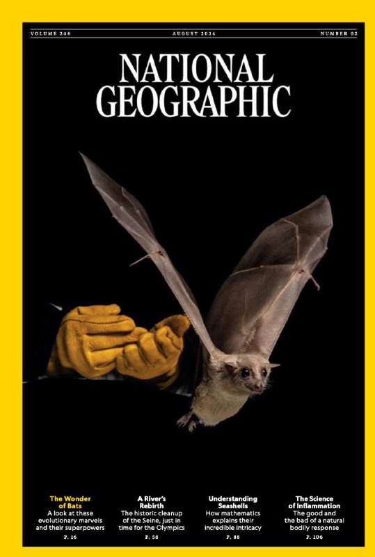 National Geographic USA.08.2024👉Download