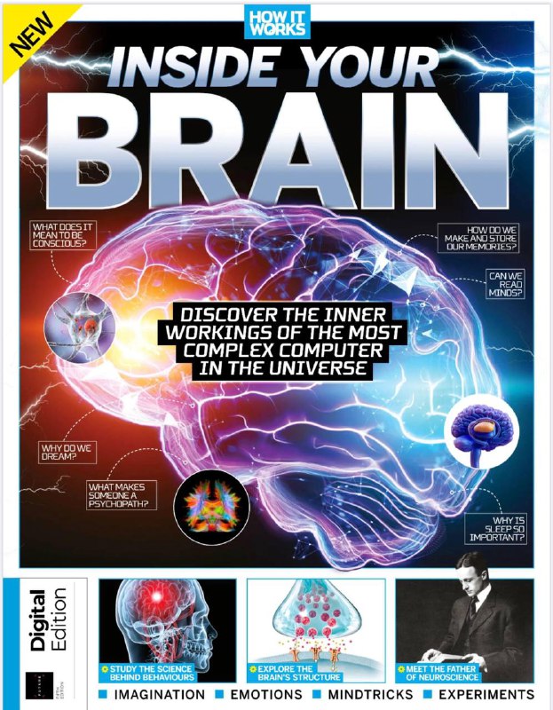 How It Works Inside Your Brain-2024.5👉下载     #how_it_works